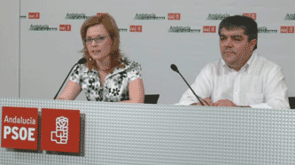 Lydia Medina, portavoz PSOE en rueda de prensa